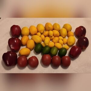 Vintage, Like-New Faux Fruit Bundle (45 pcs)